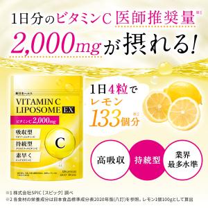 ビタミンC リポソーム 持続型 高濃度 サプリ...の詳細画像3