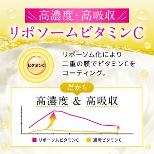 ビタミンC リポソーム 持続型 高濃度 サプリ...の詳細画像5