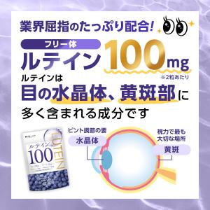 ルテイン 100mg クランベリー ブルーベリ...の詳細画像4