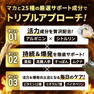 マカ 20倍濃縮マカ 200,000mg 活力...の詳細画像4