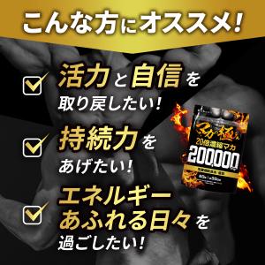 マカ 20倍濃縮マカ 200,000mg 活力...の詳細画像5