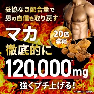 マカ 20倍濃縮マカ 120,000mg 活力...の詳細画像3
