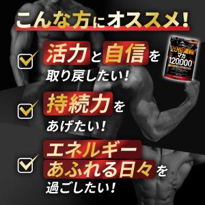 マカ 20倍濃縮マカ 120,000mg 活力...の詳細画像5