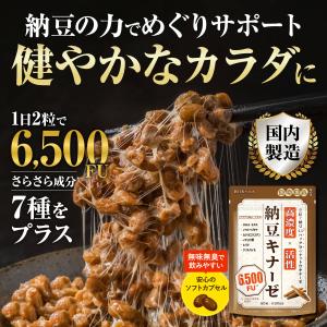納豆キナーゼ ナットウキナーゼ DHA EPA...の詳細画像1