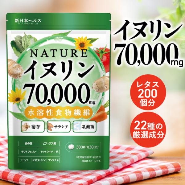 NATUREイヌリン 70,000mg 水溶性食物繊維 菊芋 サラシア ビフィズス菌 桑の葉 ナット...