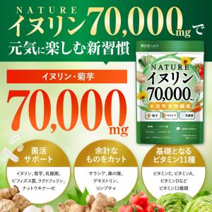 NATUREイヌリン 70,000mg 水溶性...の詳細画像1
