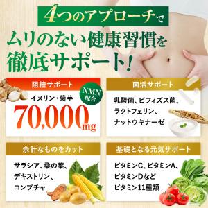 NATUREイヌリン 70,000mg 水溶性...の詳細画像4
