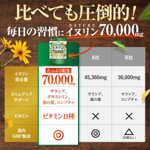 NATUREイヌリン 70,000mg 水溶性...の詳細画像5