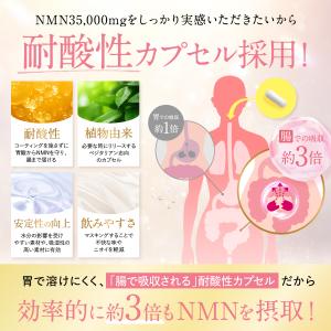 NMN サプリメント 35,000mg 日本製...の詳細画像5