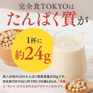 ソイプロテイン 完全栄養食 ダイエット 完全食...の詳細画像5