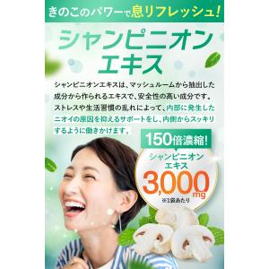 口臭 シャンピニオン 150倍濃縮シャンピニオ...の詳細画像4