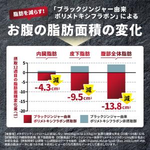 ダイエット シボドーンEX お腹の脂肪 皮下脂...の詳細画像4