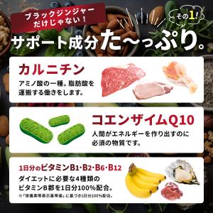 ダイエット シボドーンEX お腹の脂肪 皮下脂...の詳細画像5