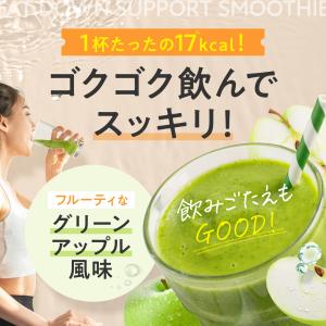 ダイエット ファットダウンサポートスムージー ...の詳細画像3