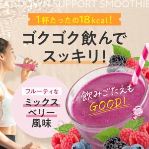 ダイエット ファットダウンサポートスムージー ...の詳細画像4