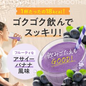 ダイエット ファットダウンサポートスムージー ...の詳細画像5