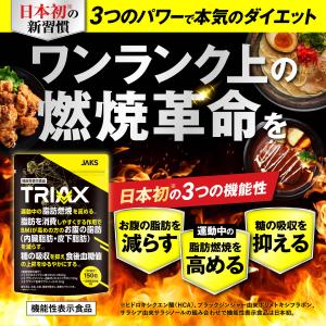 ダイエット サプリ 脂肪燃焼 内臓脂肪 皮下脂...の詳細画像1