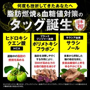 ダイエット サプリ 脂肪燃焼 内臓脂肪 皮下脂...の詳細画像3
