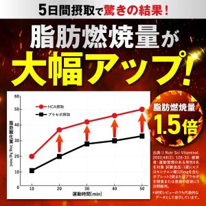 ダイエット サプリ 脂肪燃焼 内臓脂肪 皮下脂...の詳細画像4