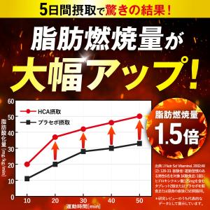 ダイエット サプリ 脂肪燃焼 運動中の脂肪燃焼...の詳細画像5