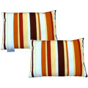 ペアレシステムパッド・サブパッド2個セット