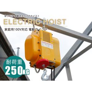 電動ウインチ 家庭用100V対応 強力小型ホイスト 50Hz 最大能力250kg 出張先や現場ですぐに使える移動式 吊り下げタイプ 60日安心保証付｜perotools