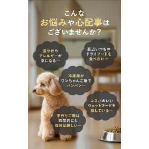 【獣医師開発】 HEKA ウェットフード 犬 ...の詳細画像1