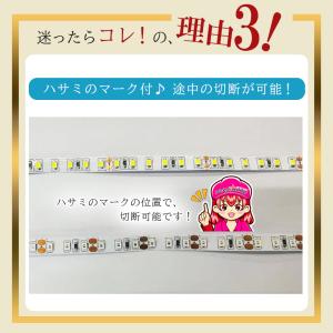 LED テープライト 24V 12V 車 防水...の詳細画像5
