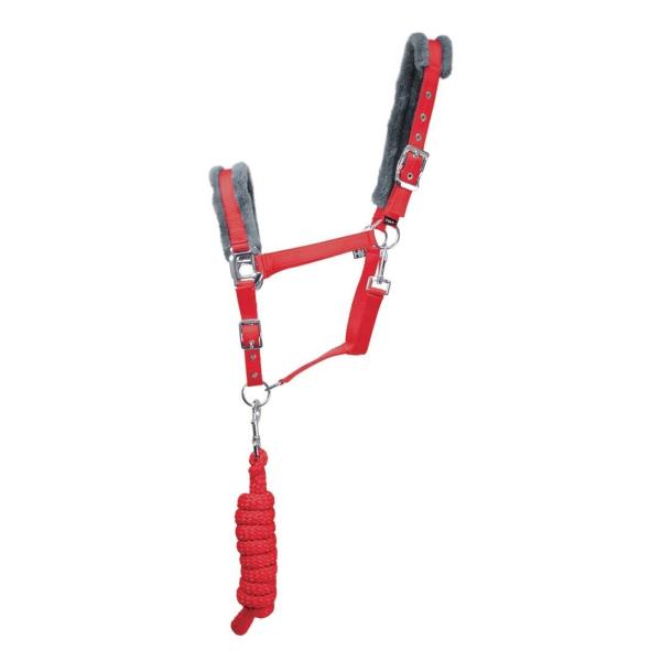 (ハイ) Hy Sport 馬用 アクティブ ヘッドカラー リードロープ付き 頭絡 馬具 乗馬 ホー...