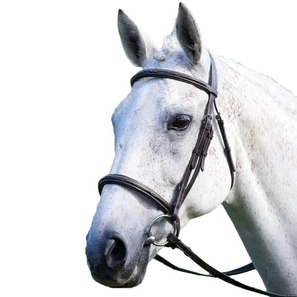 (アヴィニヨン) Avignon 馬用 パッド入り レザー カブソン鼻革 ノーズバンド 乗馬 馬具 ...