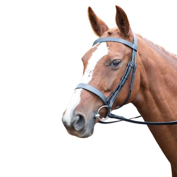 (アヴィニヨン) Avignon 馬用 レザー カブソン ブライドル 乗馬 頭絡 馬具 ホースライデ...