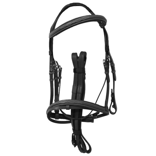 (アヴィニヨン) Avignon 馬用 パッド入り レザー ブライドル 乗馬 頭絡 馬具 ホースライ...