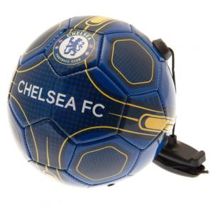 チェルシーCHELSEA のボールペン2本セットケース付き　新品　サッカーチーム チェルシー フットボールクラブ Chelsea FC オフィシャル商品