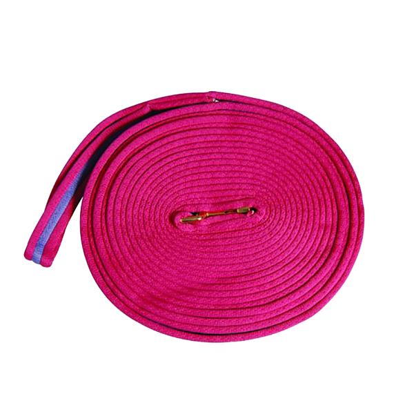 (キンケード) Kincade 馬用 ツートーンカラー パッド入り 調馬索 ロープ ランジング 乗馬...