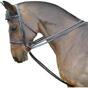 キンケード) Kincade 馬用 ウェブ ドローレーン 手綱 馬具 乗馬 ホース