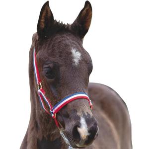 (ローマ) Roma 馬用 フォール ヘッドカラ...の商品画像