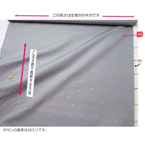 星柄 生地 108cm巾 さらさら コットンブ...の詳細画像5