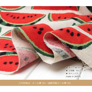 綿麻 生地【綿麻キャンバス】≪北欧テイスト ポ...の詳細画像3