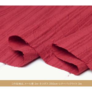 生地 無地 日本製 コットンストライプドビー ...の詳細画像3