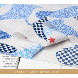ゆかた生地 ポコポコ リップル生地 夏生地 《...の詳細画像3