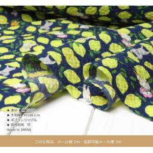 リップル生地 108cm巾 ポコポコ≪コットン...の詳細画像2