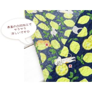 リップル生地 108cm巾 ポコポコ≪コットン...の詳細画像3