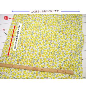 リップル生地 108cm巾 ポコポコ≪コットン...の詳細画像5