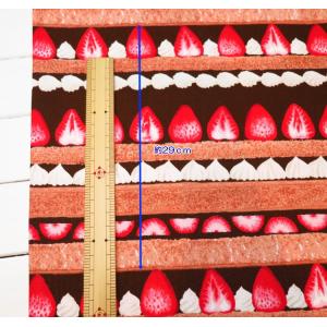 生地 いちご柄 108cm巾 コットンオックス...の詳細画像5