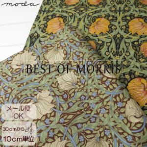 生地 モリス 110cm巾【10cm単位】BEST OF MORRIS≪ピンパネル PIMPERNEL≫moda fabrics(モダ・ファブリックス)シーチング(8365)日本製 布