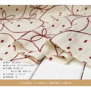レース 生地 刺繍 生地 コットン ステッチ刺...の詳細画像4