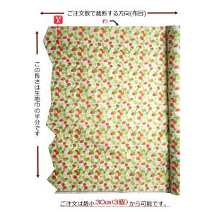 軽はっ水加工 ポリエステルオックス 145cm...の詳細画像4