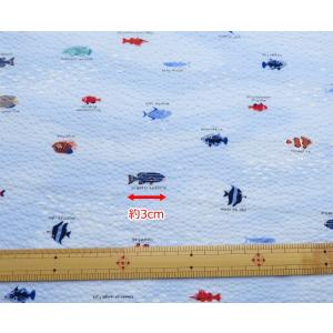ゆかた生地 ポコポコ 夏生地 コットンリップル...の詳細画像4