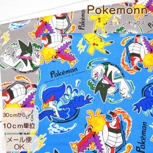 入園入学生地 コットンオックス≪ポケットモンスタ...の商品画像