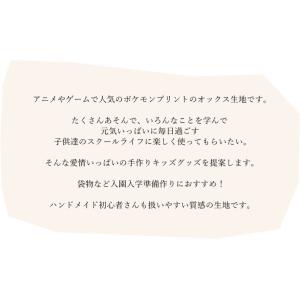 入園入学生地 コットンオックス≪ポケットモンス...の詳細画像1